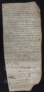 6 B.6.VIr, Permuta di terre tra Adeltruda abbadessa del monastero dei santi Leone e Marino di Pavia e Rainaldo, Pavia, [1005, ago. 18-19]